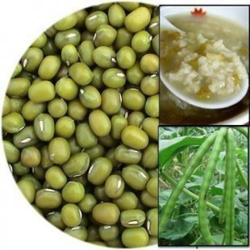 粗粮杂粮 正宗东北绿豆 清热解毒  夏日清火绿豆汤 500克 不包邮