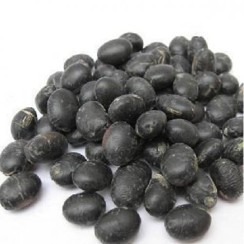 优质 杂粮 东北绿芯大黑豆 99%绿仁 非小黑豆 500g 不包邮