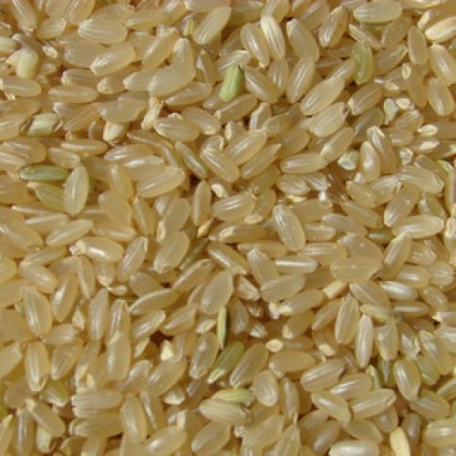 东北特级新糙米*发芽的米*健脾养胃 煮粥必备 不包邮 500g