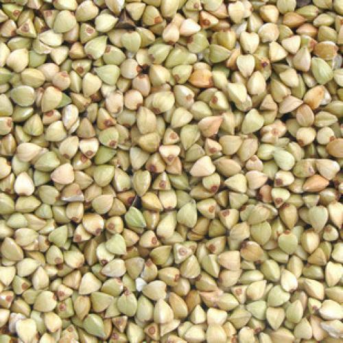 【新品】五谷杂粮 优质荞麦米 荞麦仁 降糖降脂 500g