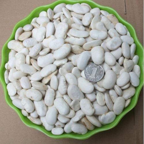 东北白芸豆 白扁豆 大白豆 白云豆 天然绿色 500克
