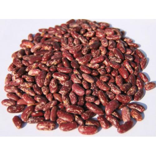 杂粮 红芸豆 大花芸豆 菜豆 500g 不包邮