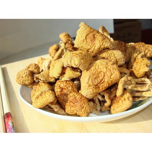 【丛名】东北滑子蘑/滑子菇 干菇 蘑菇 无根免摘 200克