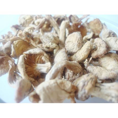 【丛名】东北小黄蘑 长白山小黄蘑 免摘去根 营养丰富 80g
