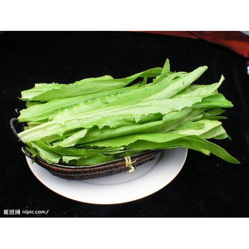 新鲜嫩绿 油麦菜★新发地直批满45元免运★仅供北京
