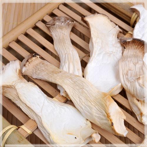 【杏鲍菇】特级杏鲍菇 干贝菇 平菇王 鲍鱼味道 肉质脆美250g