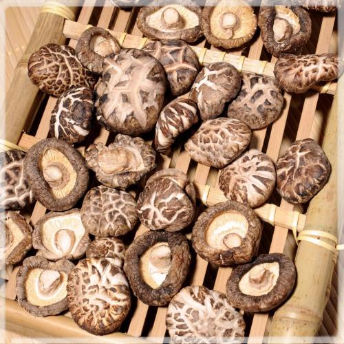 【花菇】古田本地花菇/茶花菇/极品花菇/味好/（250g）