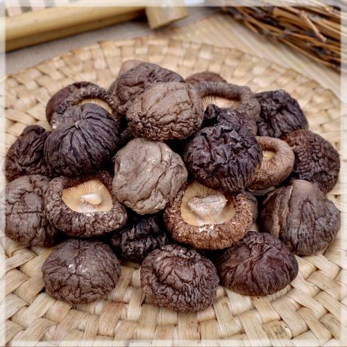 【小香菇】古田特产香菇干 小香菇 金钱菇 珍珠菇 无根去丁250g