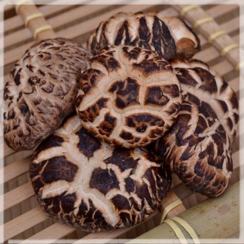 【花菇】特级花菇 椴木生长好花菇 香味更浓 茶花菇 黑花菇 250g