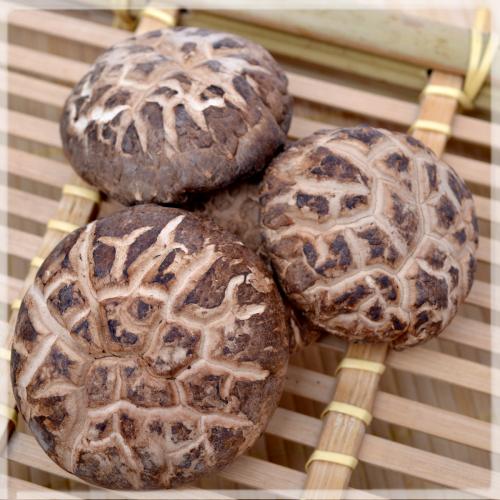 【花菇】古田本地花菇/大黑花菇/极品花菇/味好（250g）