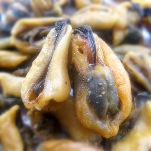 厂家直销 绿帝干货 厦门特产海鲜 新鲜肥美淡菜干230g