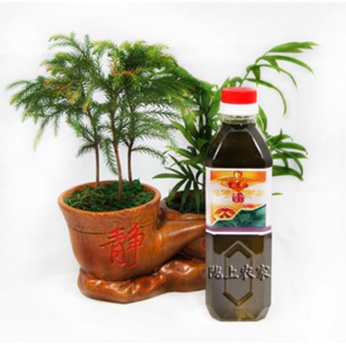 陇上农家冷榨有机紫苏籽油 苏子油 月子油 紫苏油500ml 五瓶包邮