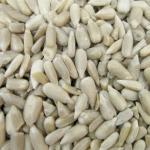 生葵花籽仁 生瓜子仁  养生原味 烘焙原料 500克
