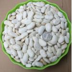 东北白芸豆 白扁豆 大白豆 白云豆 天然绿色 500克