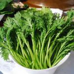 新鲜绿脆爽口 茼蒿★新发地直批满45元免运★仅供北京