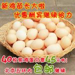 柴鸡蛋 新品种鸡苗 新品试吃特价 40枚装45元北京包邮 限时抢购