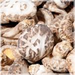 【花菇】特级小白花菇 植物皇后/健康保健食品/商城信誉250g