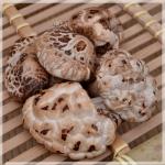 【花菇】顶级天然野生花菇/椴木花菇/白花菇 个大肉厚250g