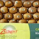 新西兰佳沛 Zespri 绿色奇异果绿心猕猴桃120元/箱36个江浙沪包邮